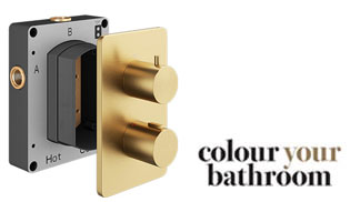 Abacus Brushed Brass Shower Valves and Accessories
