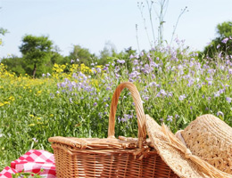 Picnic Hampers