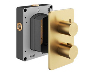 Abacus Brushed Brass Showers, Valves and Accessories