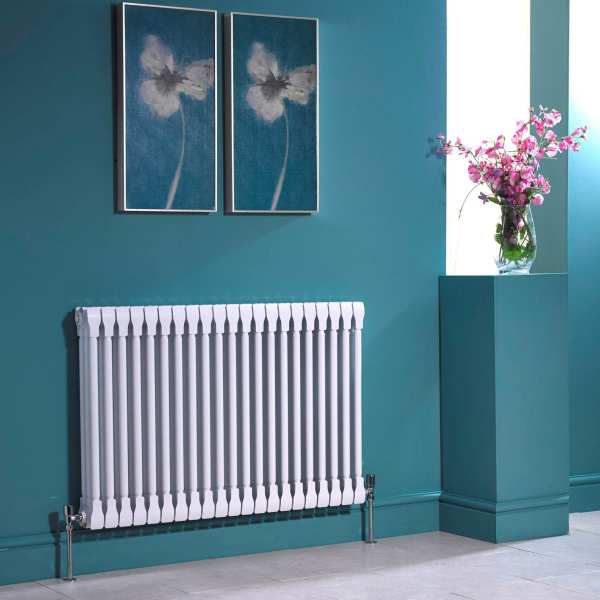 Apollo Monza 2 Column Horizontal Aluminium Column Radiator 670 x 986mm AL2C6H1000