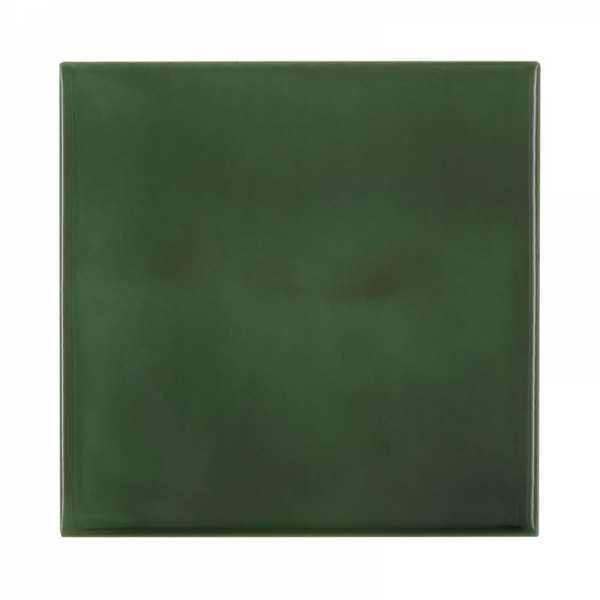 Carron Set of 10 Plain Green Tiles LGC067