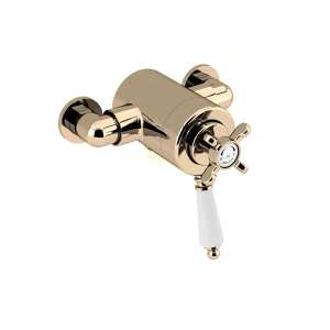 Bristan 1901 Exposed Concentric Gold Shower Valve Only N2 CSHXVO G