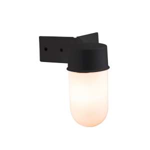 Endon Ware Outdoor Non Automatic Wall Light EL 40088