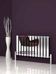 Reina Pienza Chrome Designer Radiator 550 x 995mm