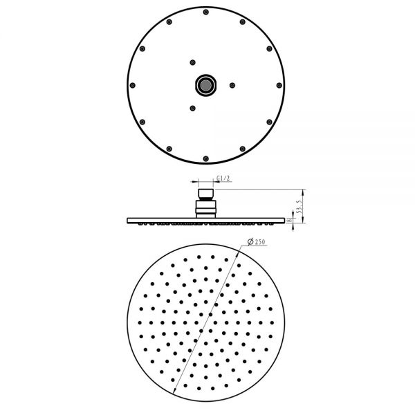JTP VOS Brushed Brass 250mm Round Shower Head #2