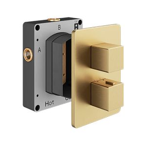 Abacus Plan Brushed Brass Two Outlet Square Thermostatic Shower Valve