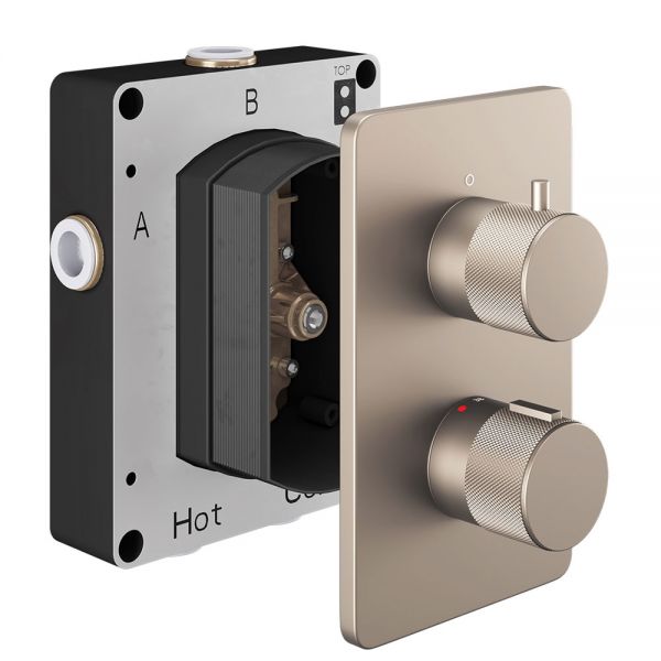 Abacus Iso Pro Brushed Nickel Two Outlet Thermostatic Shower Valve