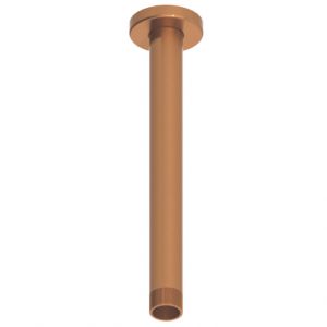 Abacus Brushed Bronze 250mm Round Ceiling Mounted Shower Arm
