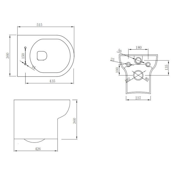 Apex Spa Wall Hung Toilet #2