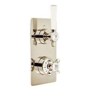 Vado Booth & Co Axbridge Nickel 2 Outlet Concealed Thermostatic Shower Valve