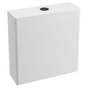 Britton Matt Black Dual Flush Button