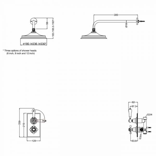 Burlington Trent Gold Thermostatic Single Outlet Shower Valve and 9 inch Shower Head #2