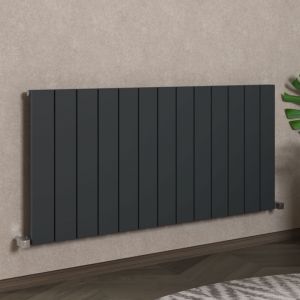 Carisa Nemo Single Anthracite Aluminium Radiator 600 x 1230mm