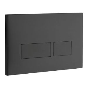 Abacus Trend2 Black Dual Flush Plate