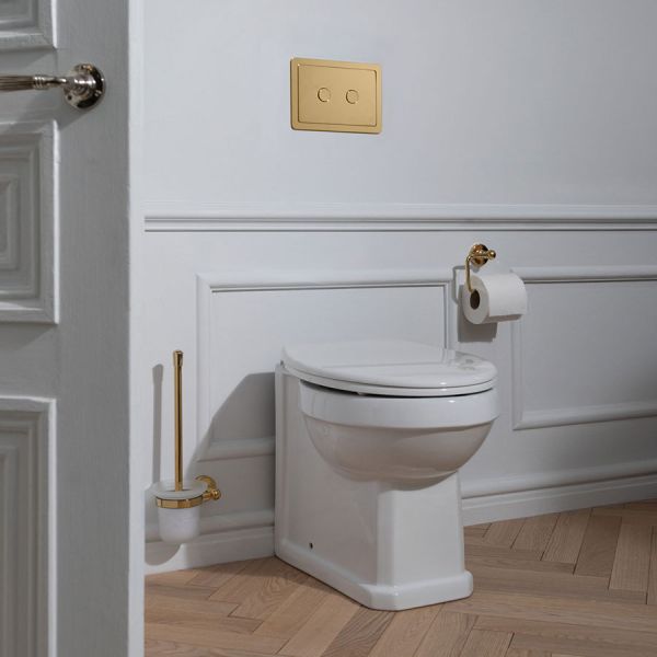 JTP Grosvenor Polished Gold Dual Flush Plate #2