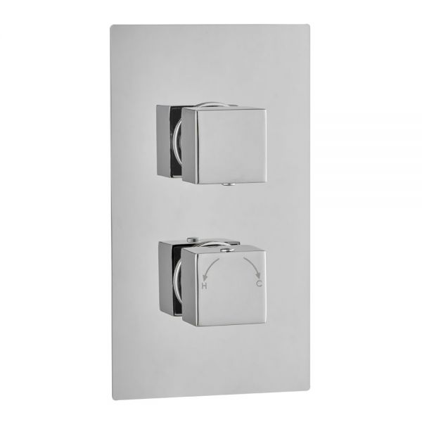 Hartland Square Dual Outlet Thermostatic Shower Valve