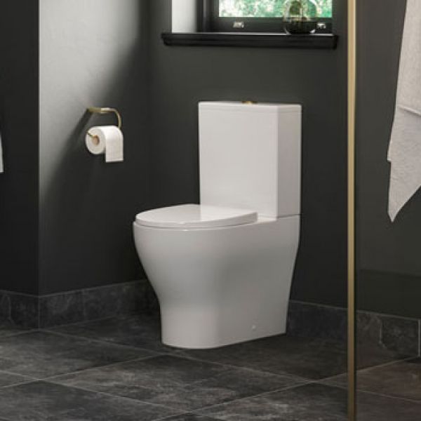 Moods Fuschia Rimless Back To Wall Toilet #2