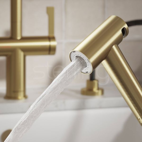 Clearwater Modern Brushed Brass Pull Out Spray #2