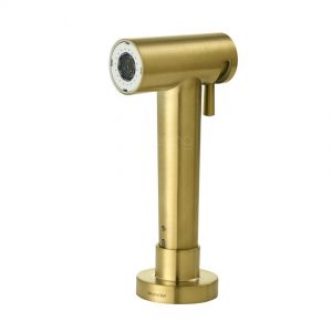 Clearwater Modern Brushed Brass Pull Out Spray