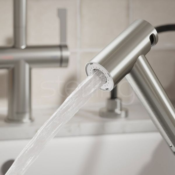Clearwater Modern Brushed Nickel Pull Out Spray #2