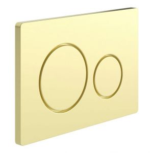 Moods Round Dual Flush Plate Brushed Brass