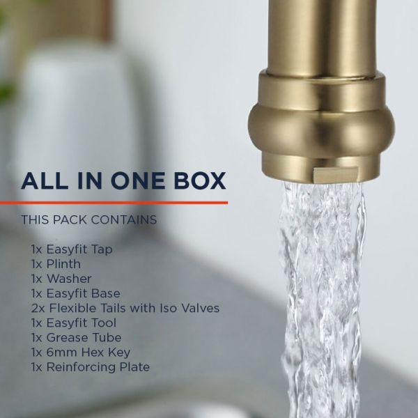 Bristan Renaissance Easyfit Brushed Brass Mono Kitchen Mixer Tap RS SNK EF BB #4