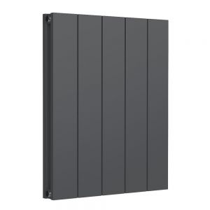 Reina Casina Anthracite Double Panel Radiator 600 x 470mm