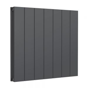 Reina Casina Anthracite Double Panel Radiator 600 x 660mm
