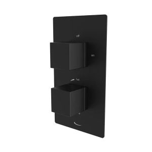 Tavistock Index Black Two Outlet Shower Valve