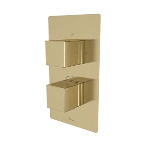 Tavistock Index Brushed Brass Two Outlet Shower Valve