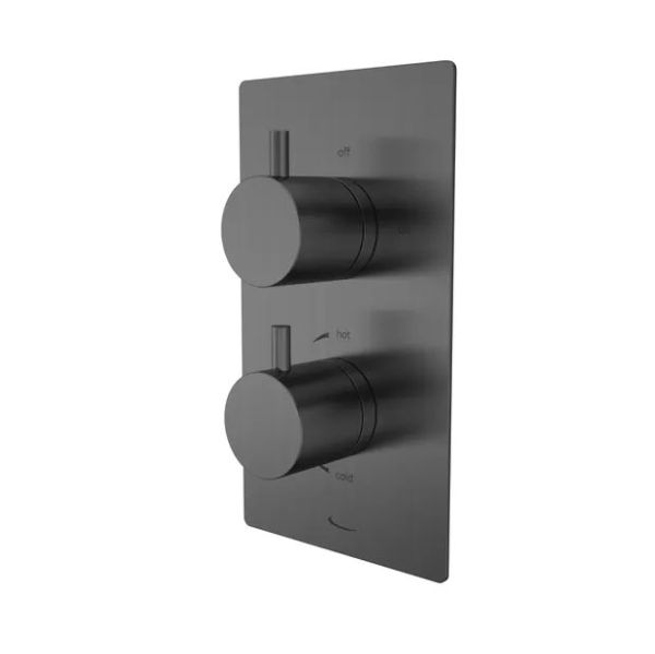 Tavistock Quantum Gunmetal Two Outlet Shower Valve