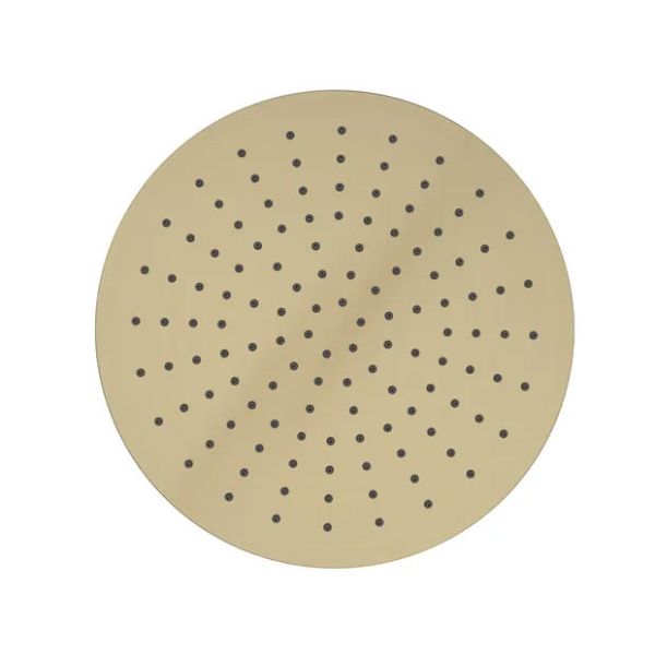 Tavistock Cohort Brushed Brass Round Shower Head