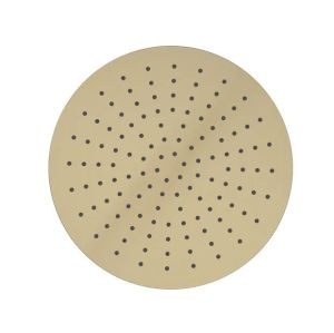 Tavistock Cohort Brushed Brass Round Shower Head