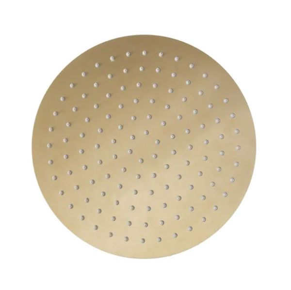 Tavistock Brushed Brass Round Shower Head