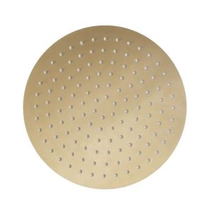 Tavistock Brushed Brass Round Shower Head