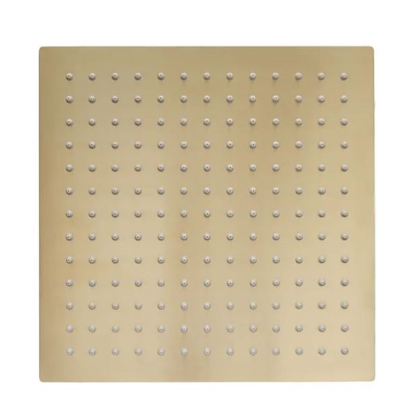 Tavistock Brushed Brass Square Shower Head