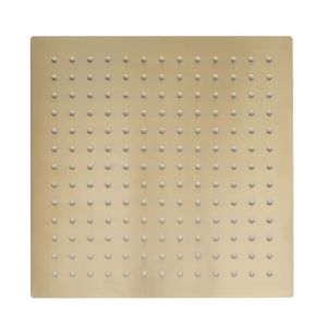 Tavistock Brushed Brass Square Shower Head