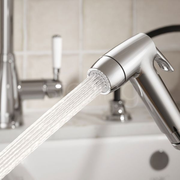Clearwater Traditional Chrome Pull Out Spray #2