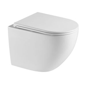 JTP Wortex Rimless Wall Hung Toilet and Toilet Seat